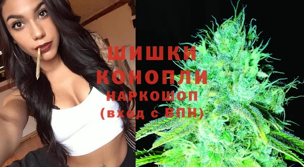 хмурый Аркадак