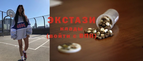 хмурый Аркадак
