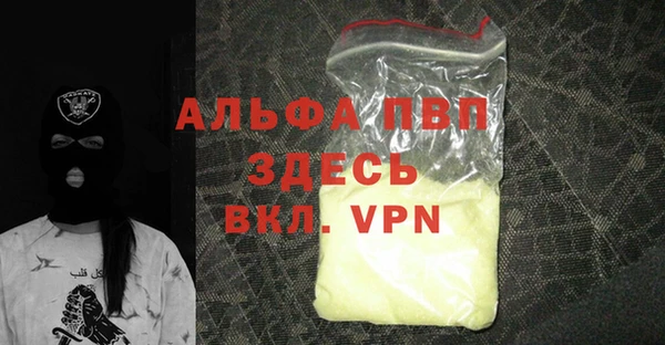 хмурый Аркадак