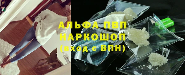 хмурый Аркадак