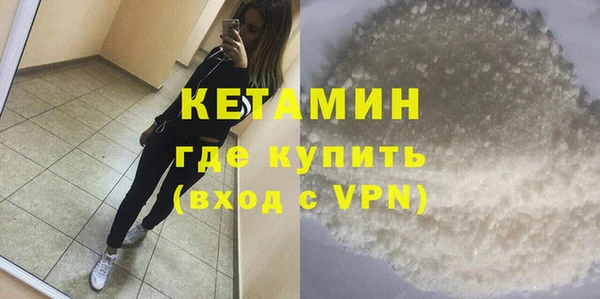 хмурый Аркадак