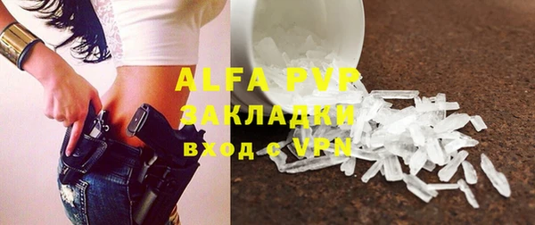 хмурый Аркадак