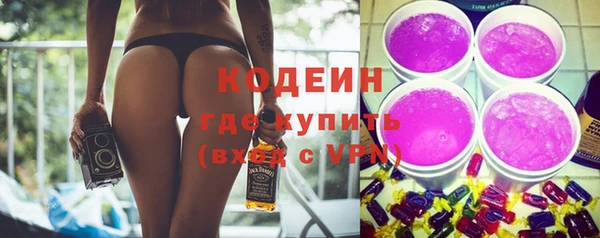 хмурый Аркадак