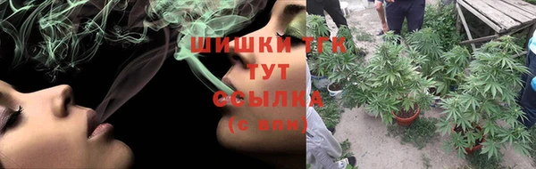 хмурый Аркадак