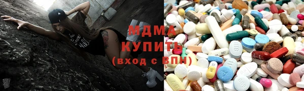 хмурый Аркадак
